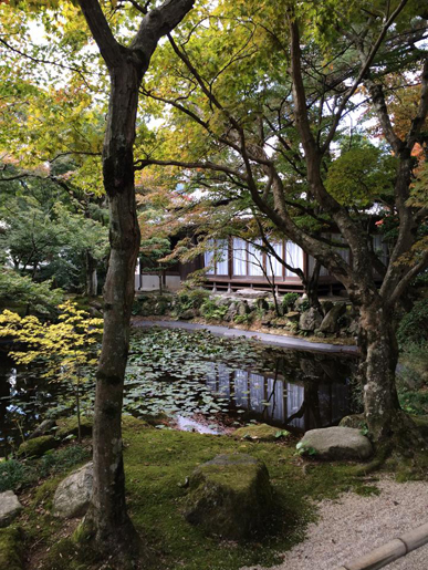 アンティークショップの福岡旅行