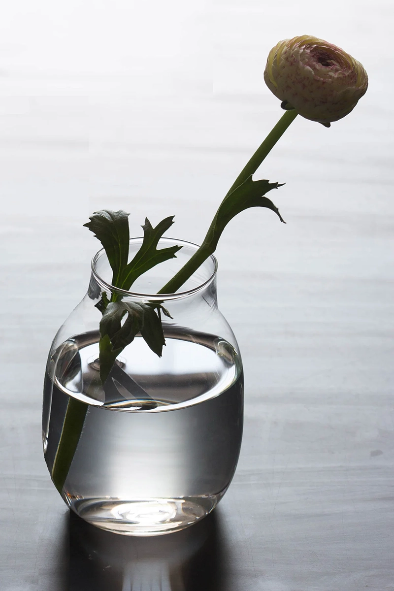 Malfatti Glass（ガラス作家） - 花瓶 花器 | インテリア